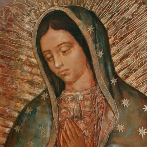 Our Lady of Guadalupe Novena Image