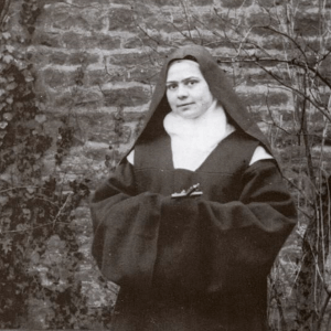 About St Elizabeth of the Trinity Image
