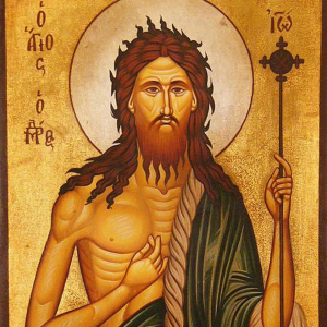 St. John the Baptist Novena Image