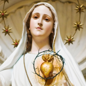 Our Lady of Fatima Image