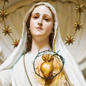 Our Lady of Fatima Novena Image