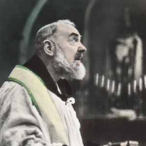 Padre Pio Novena Image