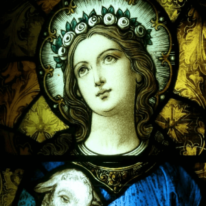 St. Agnes Novena Image