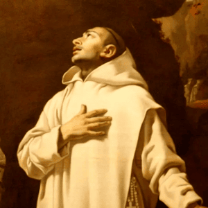St. Bruno Novena Image