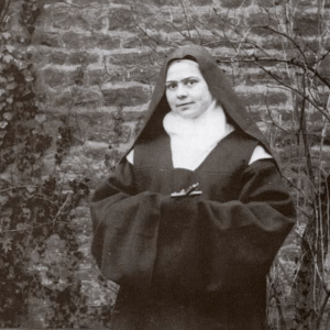 St Elizabeth of the Trinity Novena Image