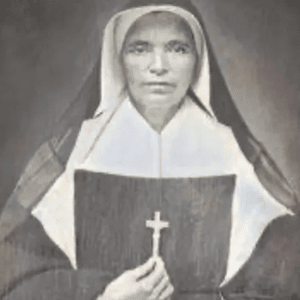St. Mother Theodore Guerin Novena Image