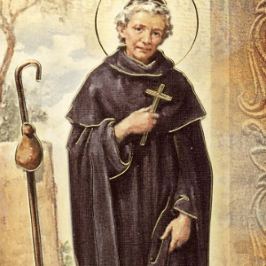 St. Peregrine Image